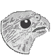 ������ ��� Vogel