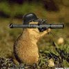 ������ ��� Ziper