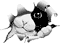   Krionix