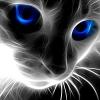 ������ ��� Aleks70694